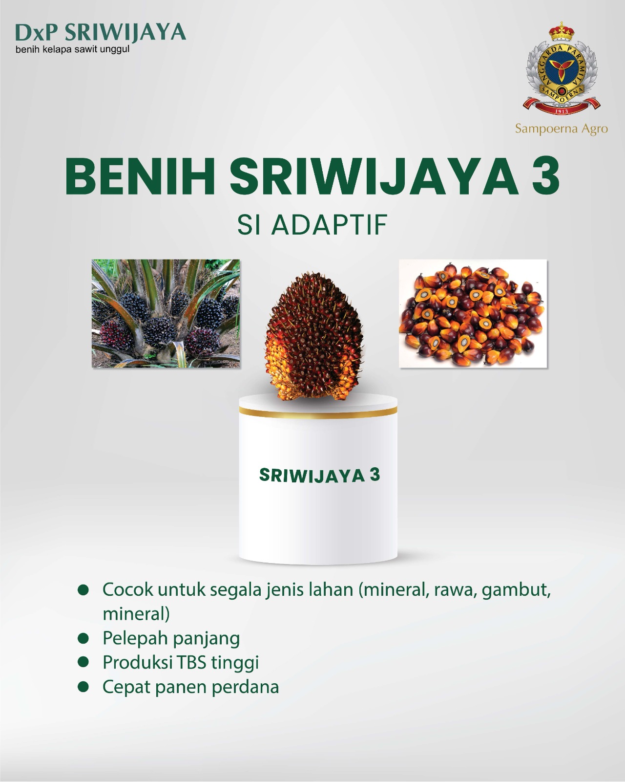Materi varietas Benih Sriwijaya 3 SI Adaptif